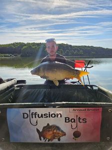 Mirror Carp