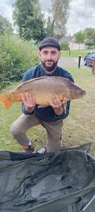 Mirror Carp