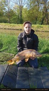 Mirror Carp