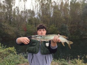 Northern Pike