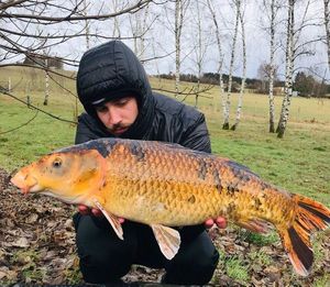 Koï Fish