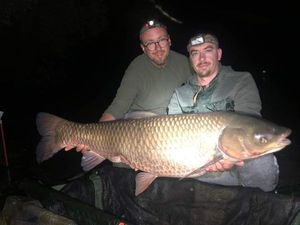 Grass Carp