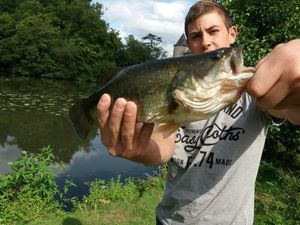 Largemouth Bass