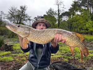 Northern Pike