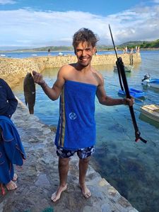 Ballan Wrasse