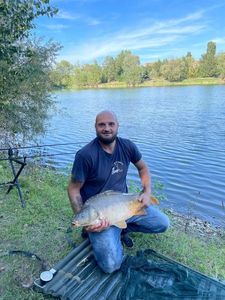Mirror Carp