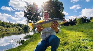 Zander