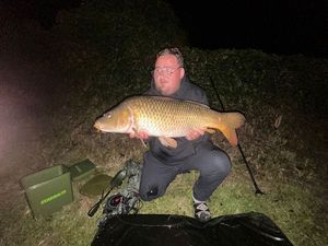 Common Carp