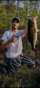 Largemouth Bass
