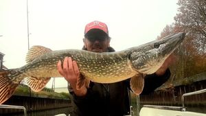 Northern Pike