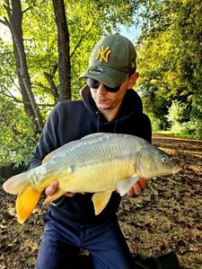 Mirror Carp