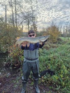 Northern Pike