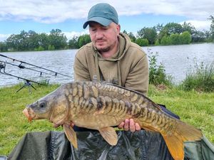 Mirror Carp