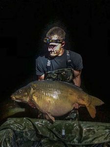 Mirror Carp