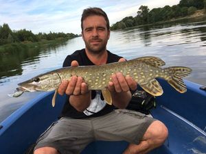 Northern Pike