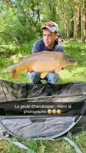 Mirror Carp