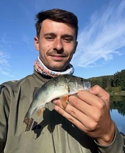 European Perch