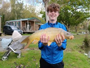 Common Carp