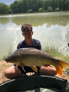 Mirror Carp