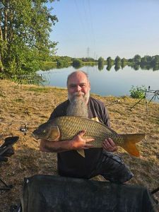 Common Carp