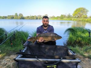 Leather Carp