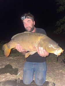 Mirror Carp