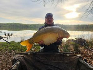 Mirror Carp