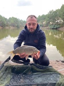 Crucian Carp