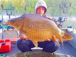 Common Carp