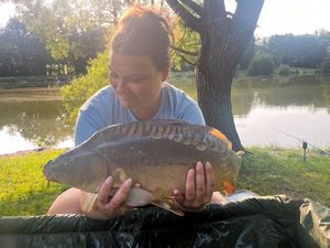 Mirror Carp