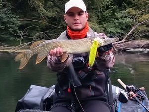 Chain Pickerel