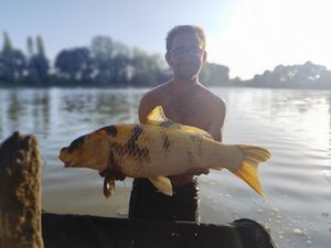 Koï Fish
