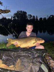 Common Carp