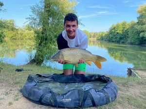 Common Carp