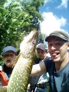 Northern Pike