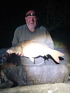 Mirror Carp
