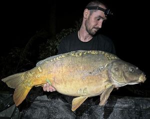 Mirror Carp
