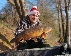Mirror Carp