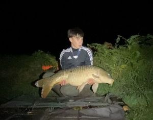 Common Carp