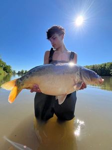 Mirror Carp