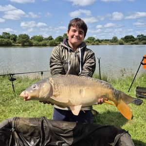 Common Carp