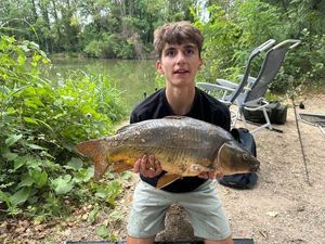 Mirror Carp