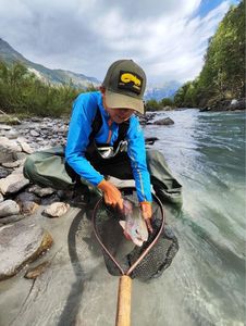 Rainbow Trout
