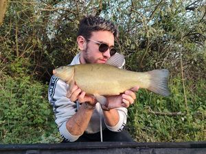 Tench