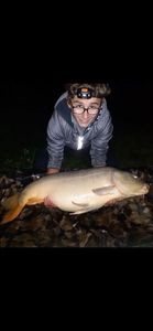 Leather Carp