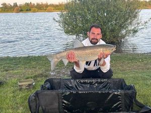 Silver Carp