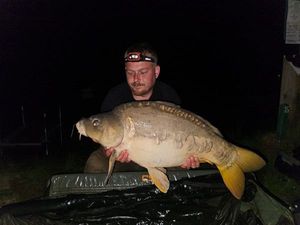 Mirror Carp