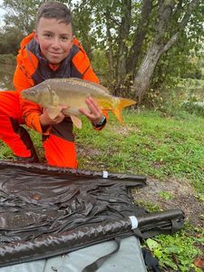 Mirror Carp