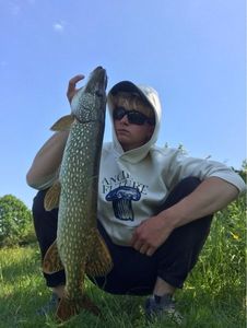 Northern Pike