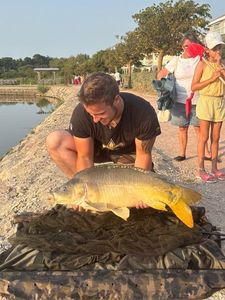 Mirror Carp